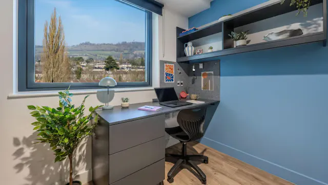 Premium Plus Studio room image 2