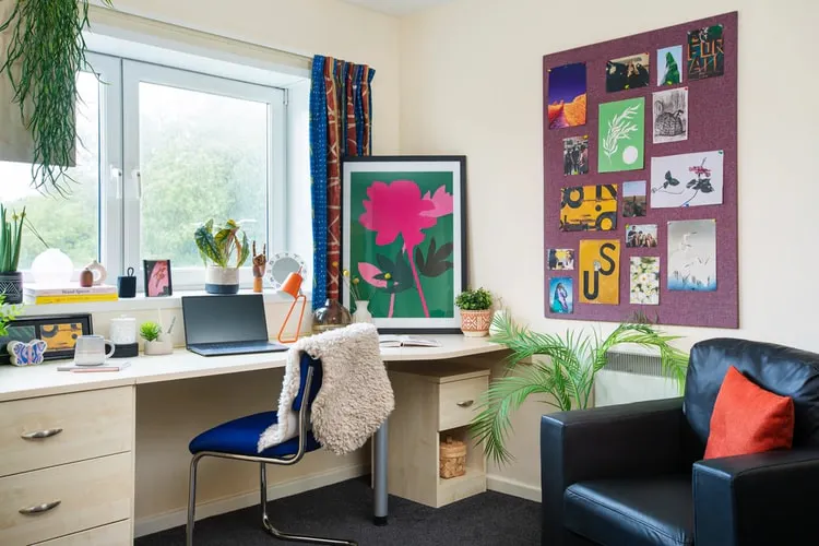ROOM ROOM 4