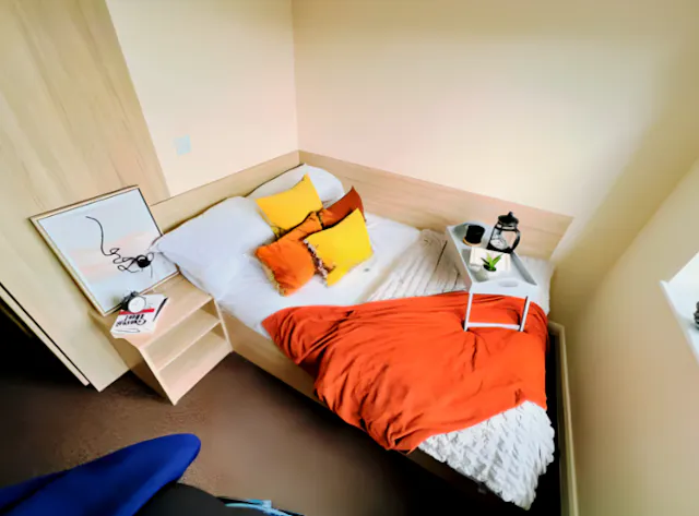 Deluxe En-Suite(UK Guarantor not required) room image 1
