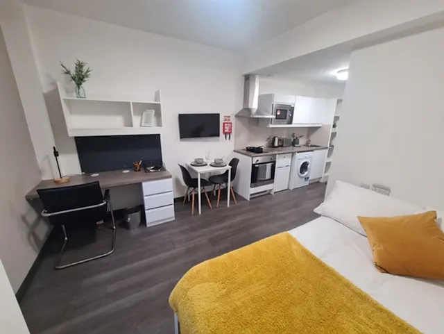 Silver Plus Studio room image 2