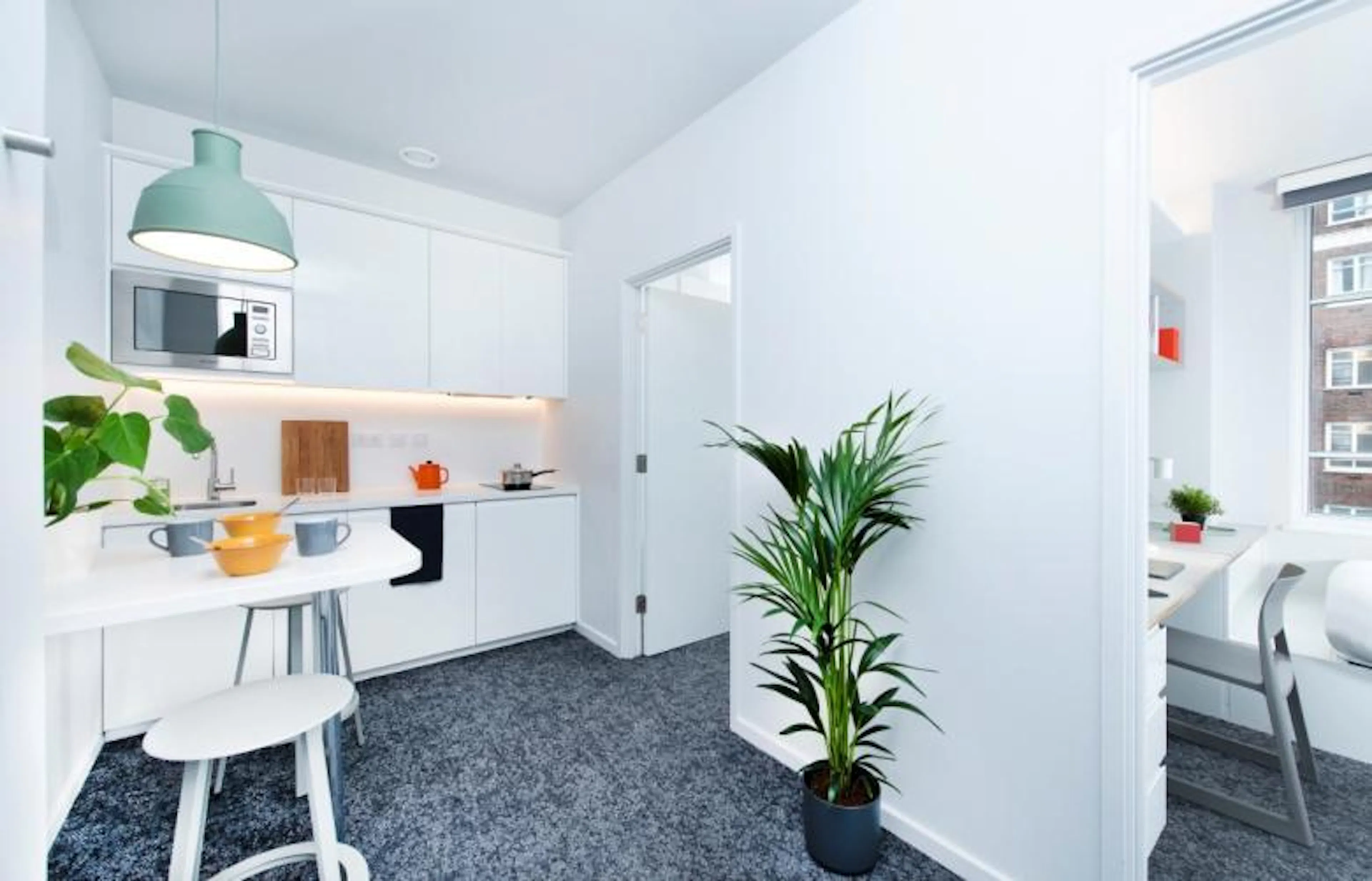 Room in a Standard Two Bedroom Apartment - Male KITCHEN 4