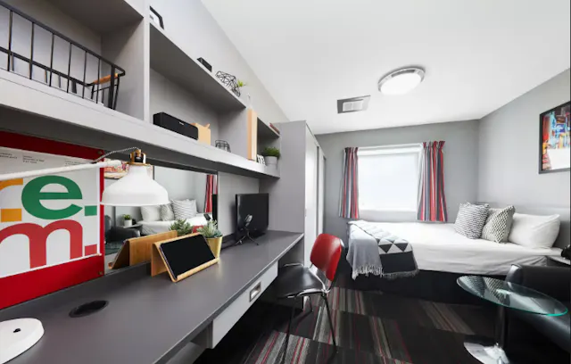 Superior Double Studio room image 7