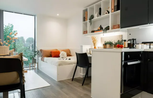 Super Elite Studio - Dual Occupancy room image 1