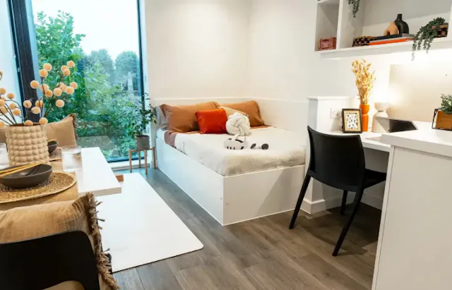 Super Elite Studio - Dual Occupancy room image 2