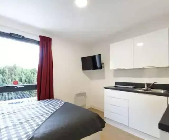 Silver Studio room image 2