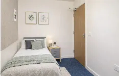 Single Bed Shared