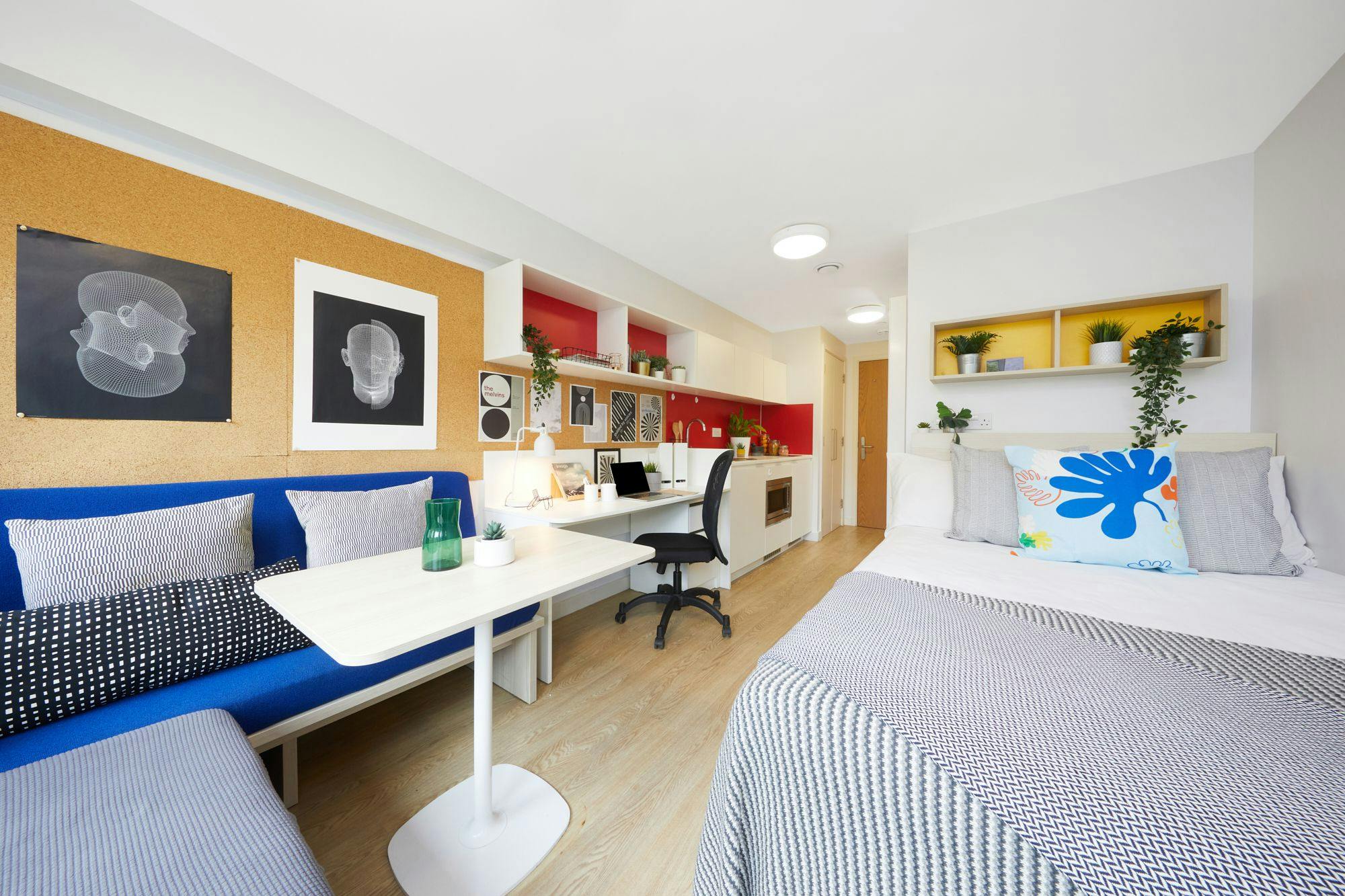 Premium Studio