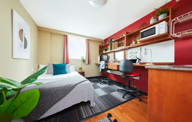 Single Studio room image 2