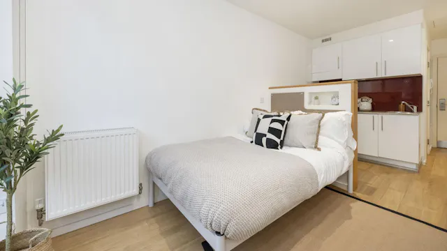 Standard Studio Gold - Dual Aspect room image 1