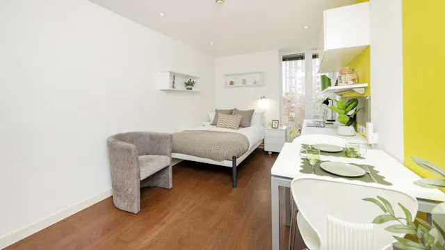 Standard Studio Gold Plus room image 4