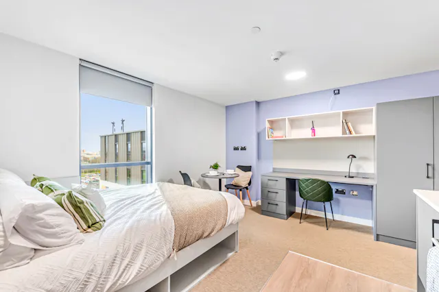 Premier Studio room image 2