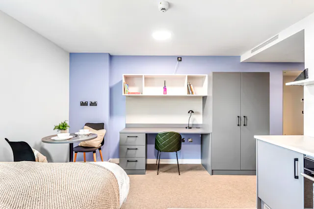 Premier Studio room image 3