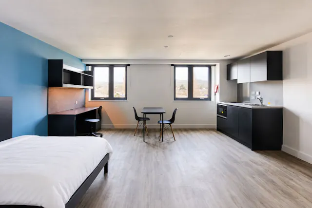 Deluxe Studio room image 5