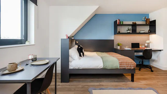 Premium Studio room image 2
