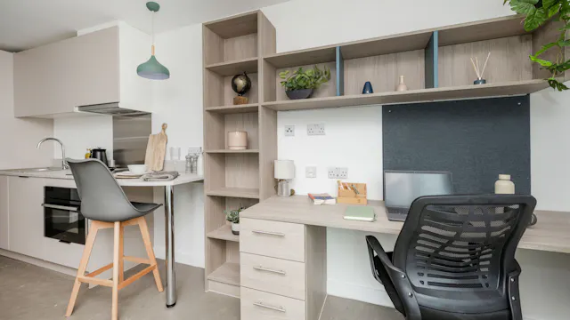 Platinum Plus Studio room image 2