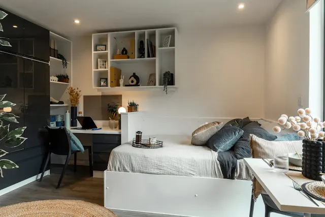 Luxe Plus Studio room image 2