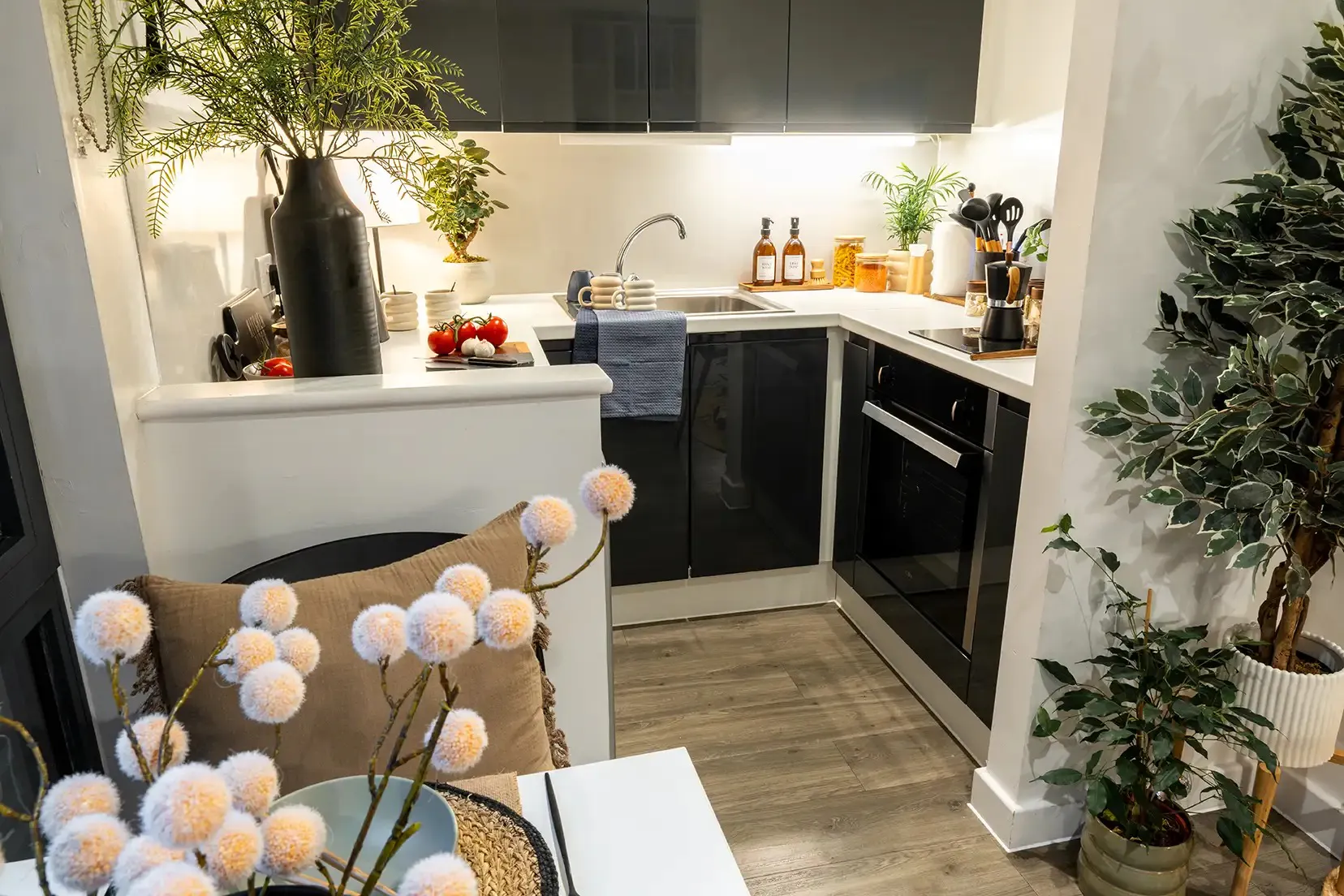 Luxe Plus Studio