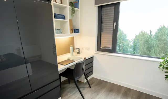 Super Elite Studio room image 2
