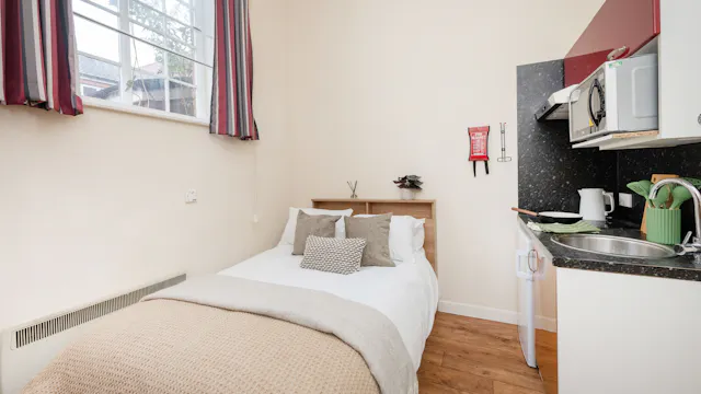 Bronze Studio room image 1