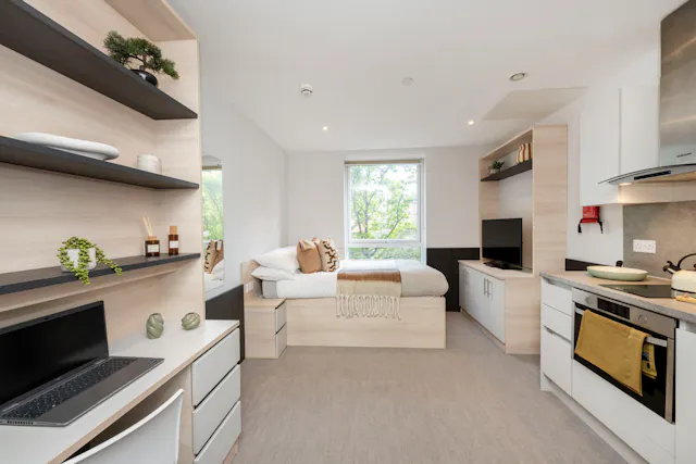 Platinum Studio room image 2