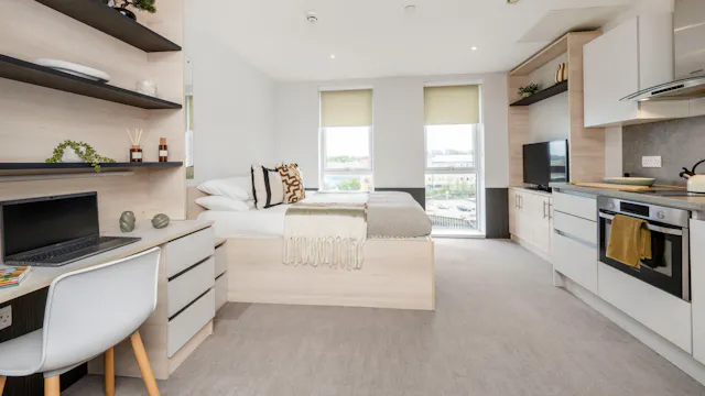 Deluxe Studio room image 2
