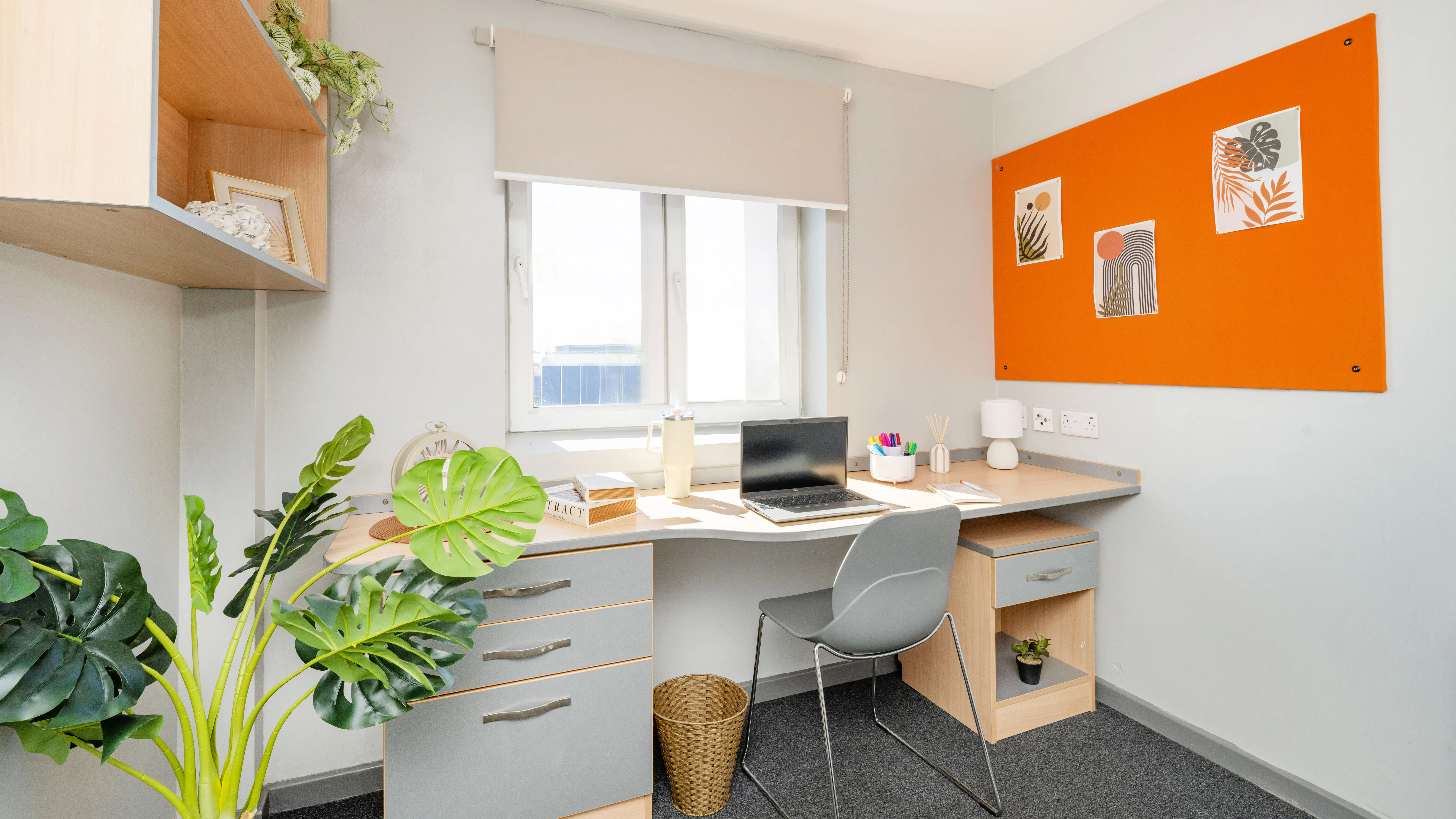 Premium Plus Ensuite