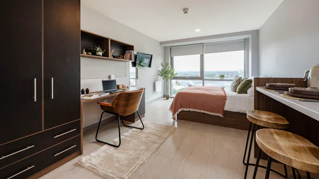 Deluxe Studio room image 2