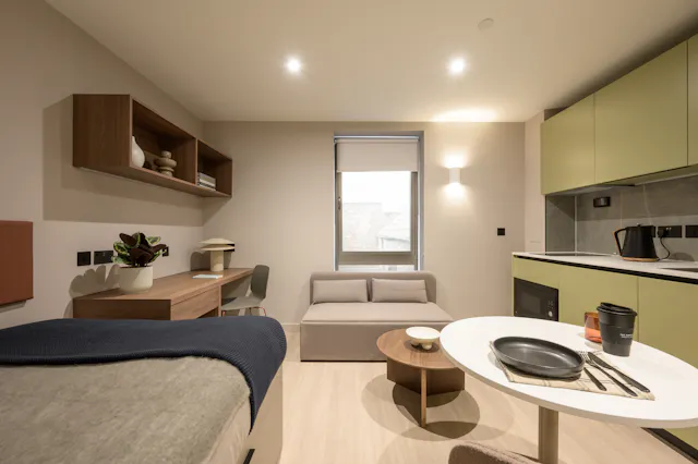 Deluxe Studio with Spacious Premium Bathroom room image 1