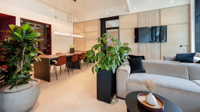 Classic Studio Plus room image 1