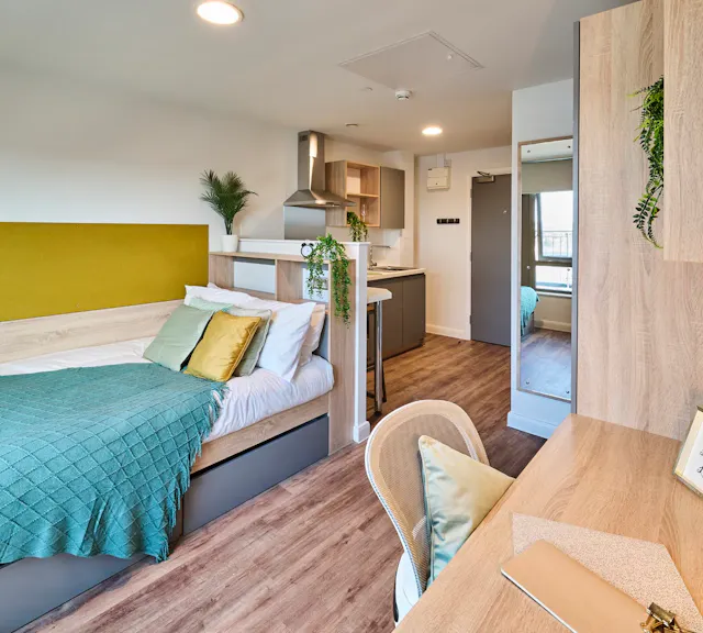 Studio Silver Plus room image 2