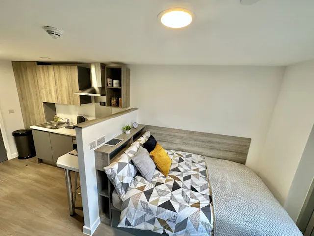 Extra Large Studio room image 1