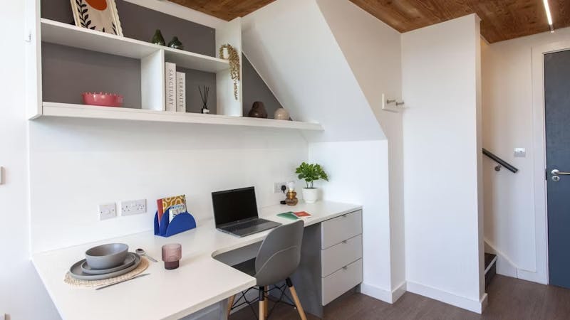Deluxe Plus Studio