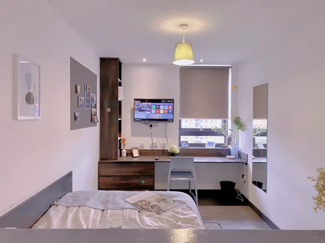 Premium Studio room image 1