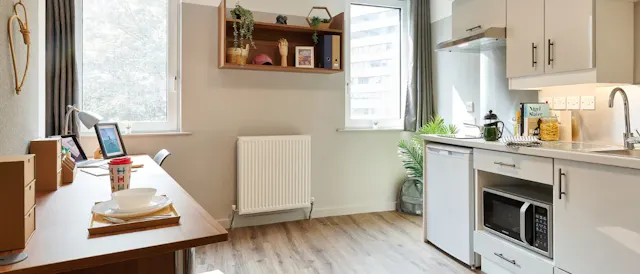Penthouse Plus Studio room image 1