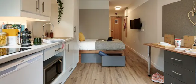 Premium Studio room image 1