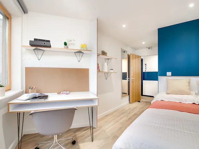 Standard Plus Studio room image 2
