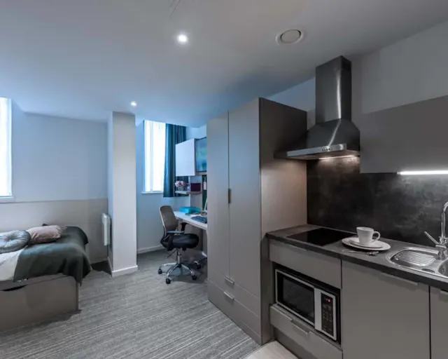 Silver Plus Studio room image 1