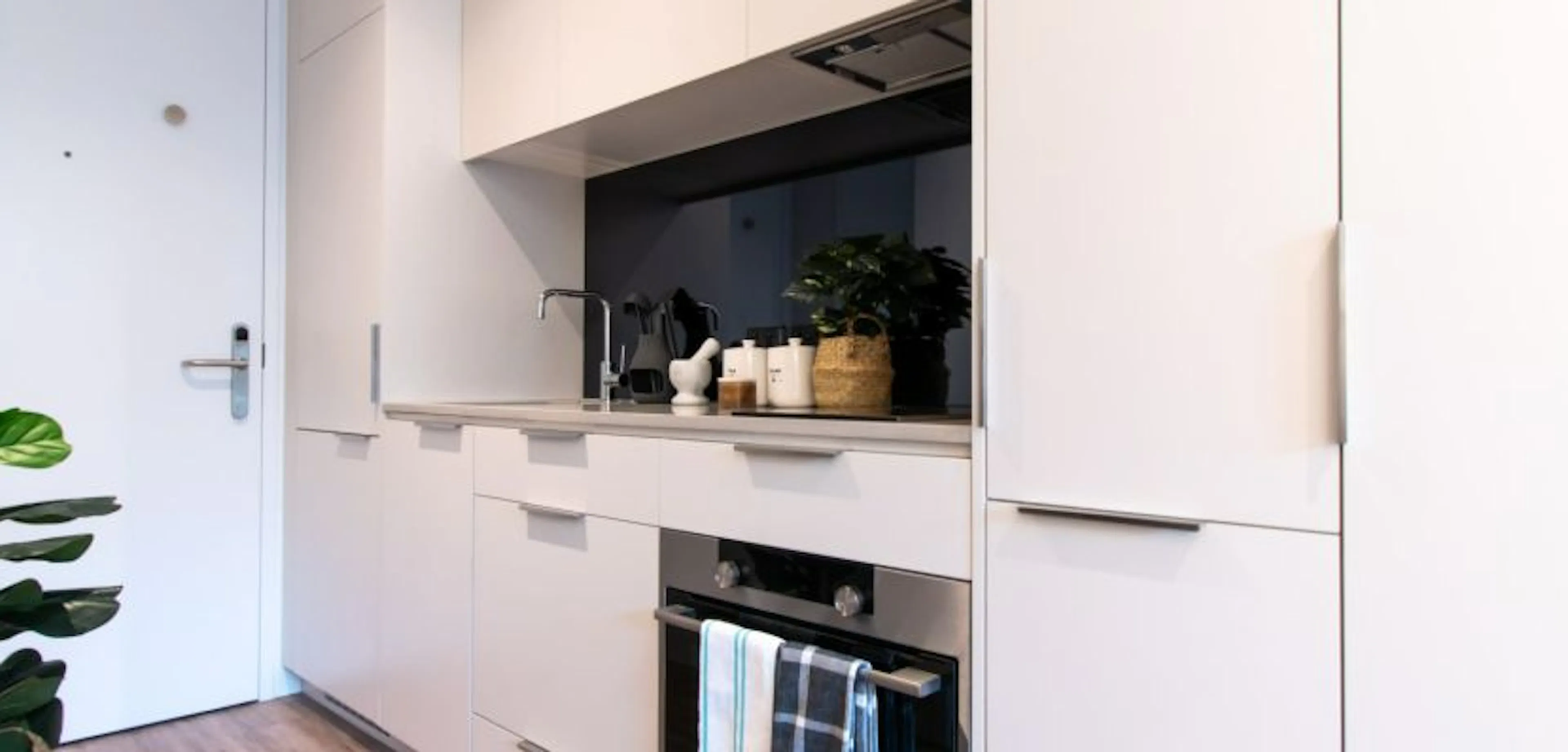 Studio Standard OTHER 1