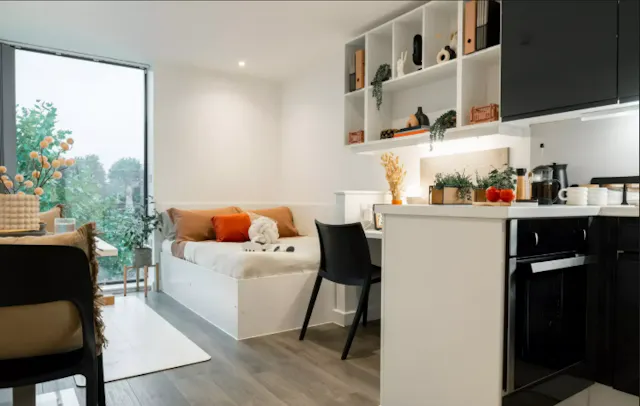 Super Elite Studio room image 2