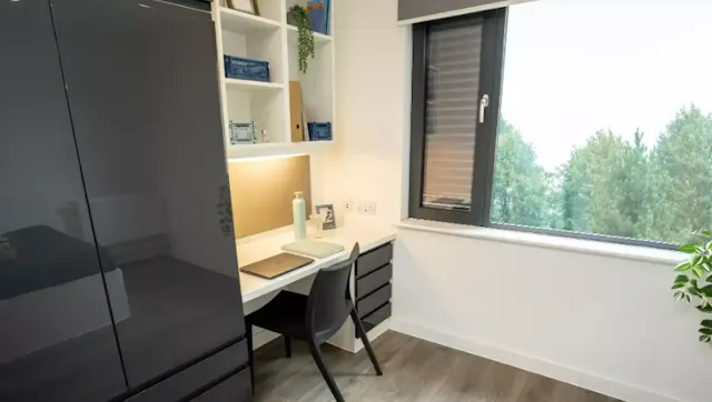 Super Elite Studio - Dual Occupancy room image 5
