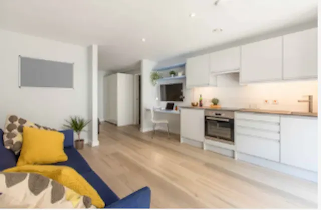 Superior Apartment room image 1