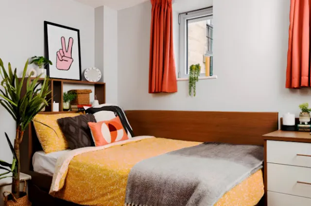 Wheelchair Accessible Studio Double room image 1