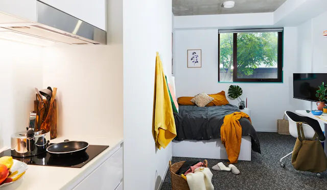 Signature Studio Plus room image 2