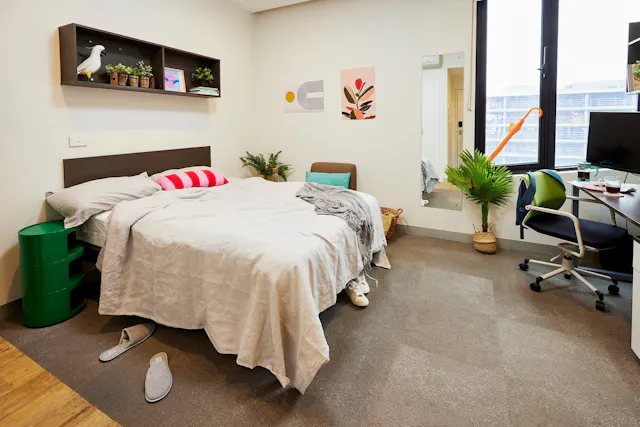 Signature Studio Plus room image 1
