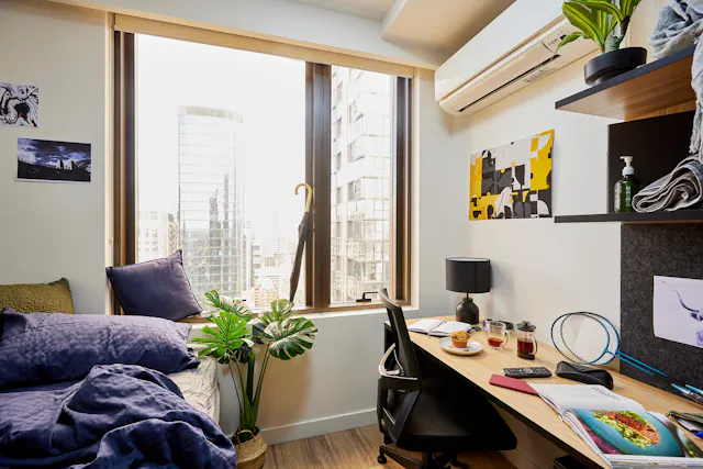 Signature Studio Plus room image 2