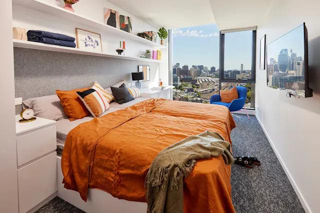 Ultra Studio room image 1