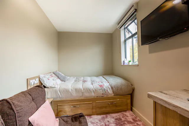 Large Studio Plus room image 1