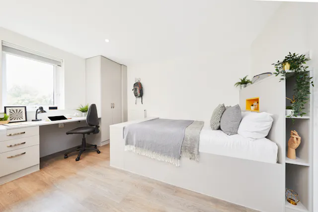 Premium Studio room image 1