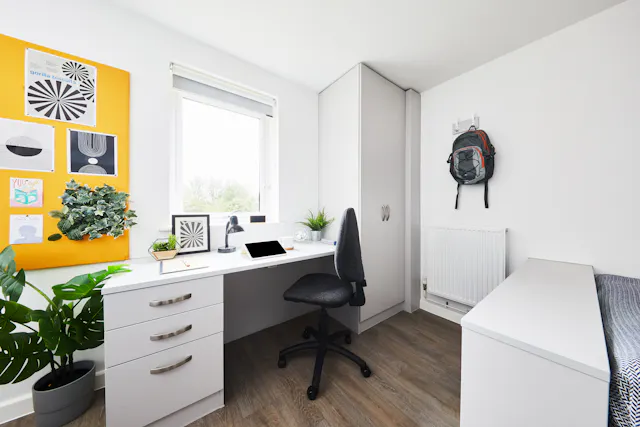 Premium Studio room image 2